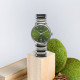 RADO 38mm R30010312