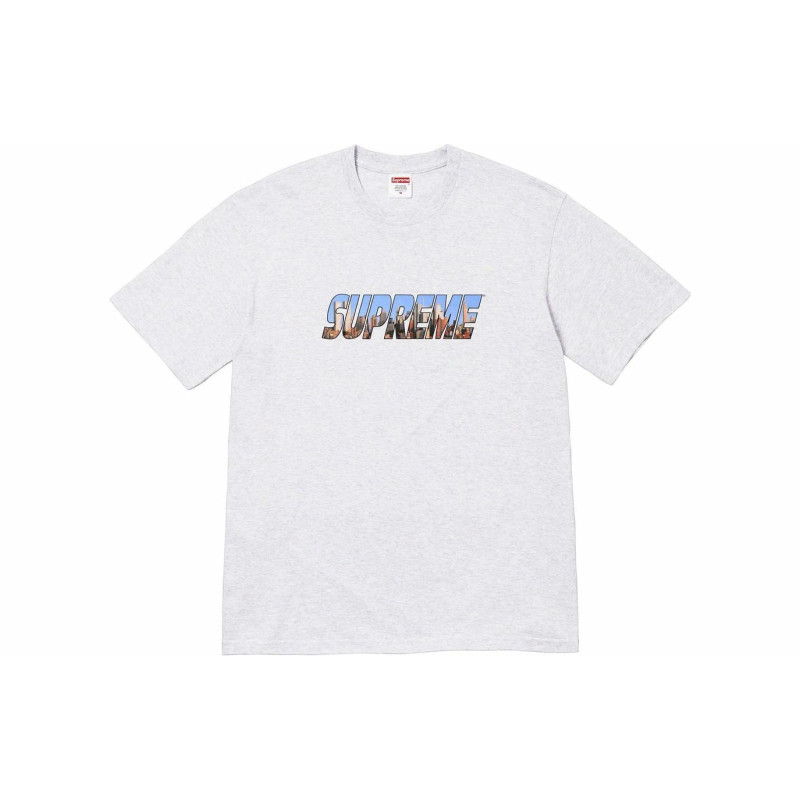 Supreme FW23 WEEK1 GOTHAM TEE LogoT