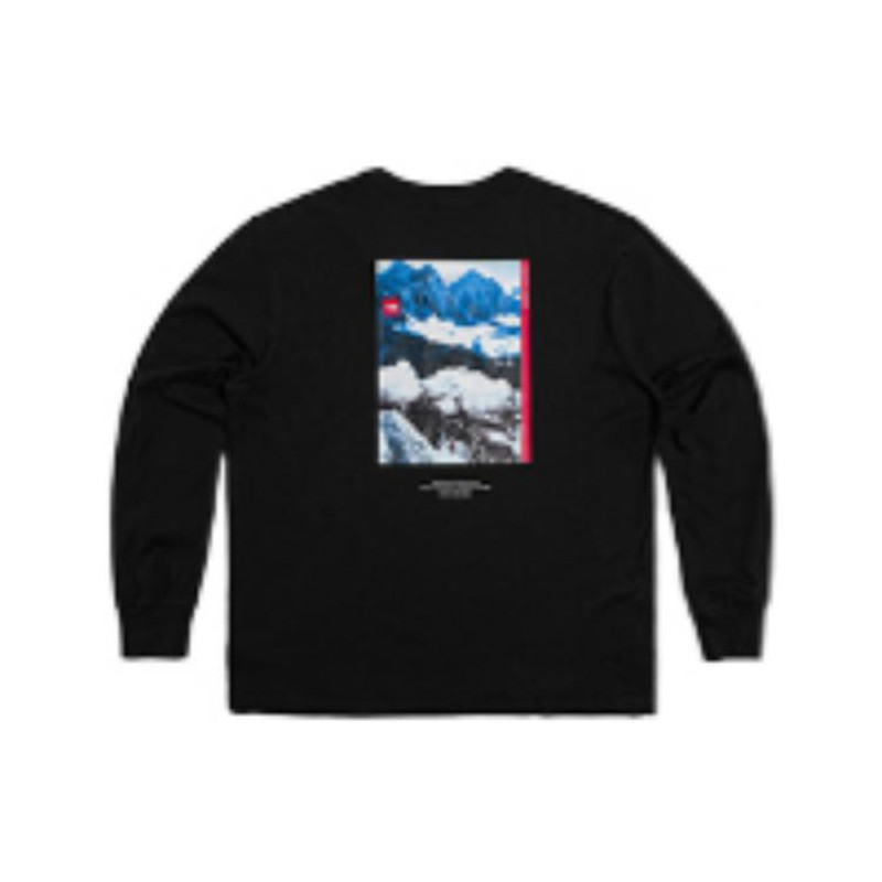 THE NORTH FACE 1992 30 LogoT