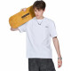 FAIRWHALE T