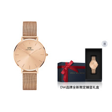 Daniel Wellington PETITE 32mm 30 DW00100471