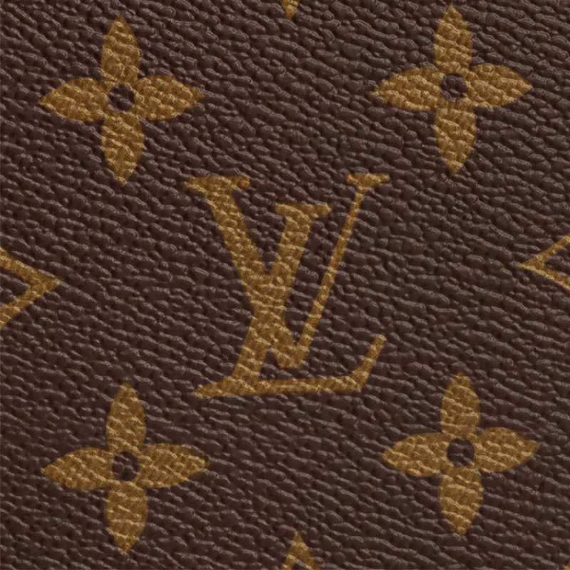 LOUIS VUITTON Zippy Organizer