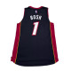 adidas x NBA BOSH 1 V