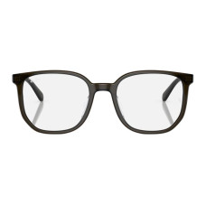 RayBan