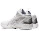Asics Gel-Hoop V14