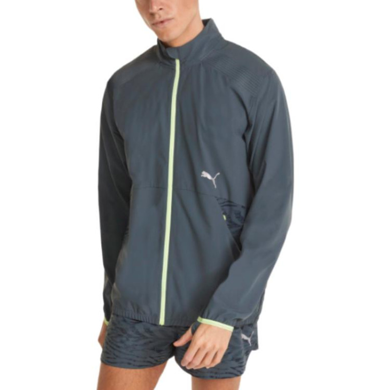 Puma Logo