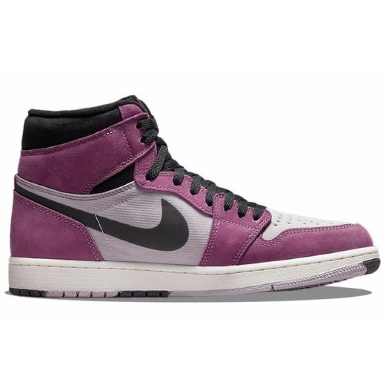 Jordan Air Jordan 1 element gore-tex 