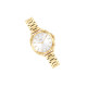 COACHTATUM 28mm 30 14504153