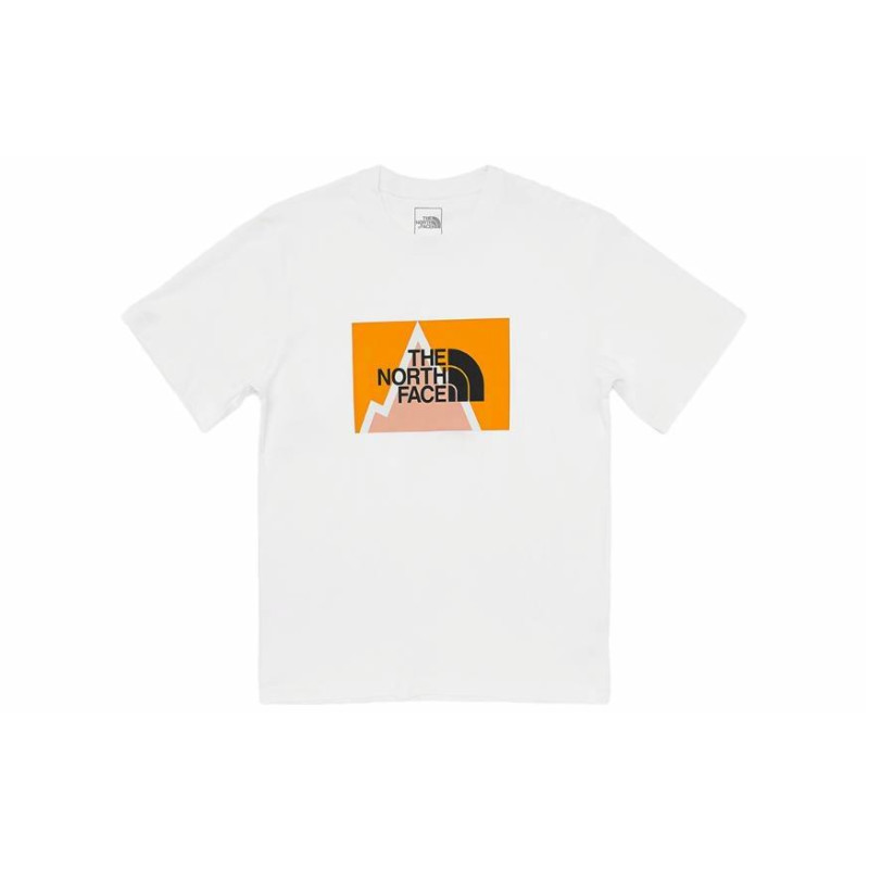 THE NORTH FACE SS22 LogoT