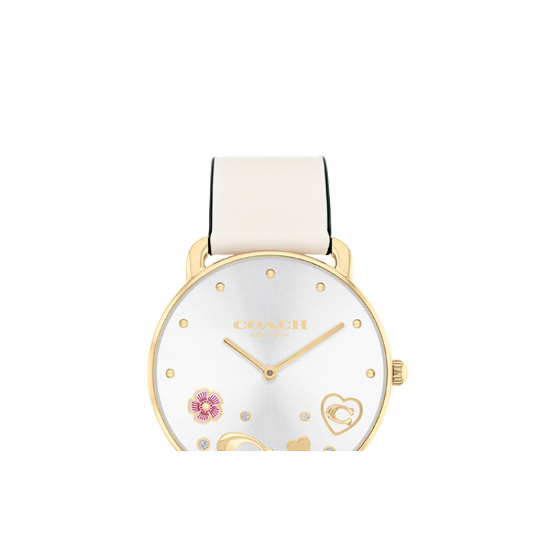 COACHELLIOT 36mm 14504298