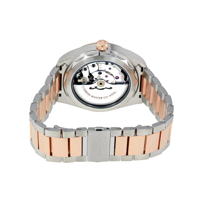 OMEGA 41mm 220.20.41.21.06.001