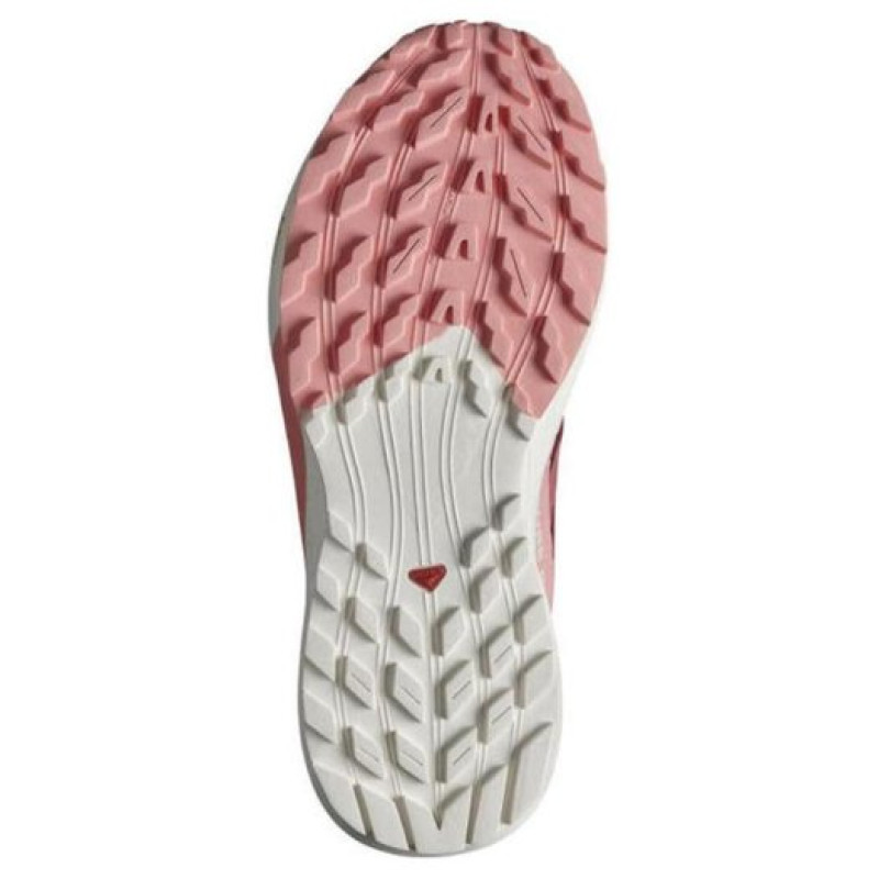 SALOMON Sense Ride 5 GTX