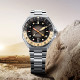 SPINNAKER GMT