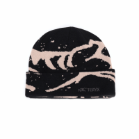 Arcteryx Logo