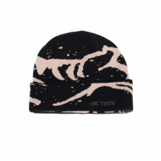 Arcteryx Logo