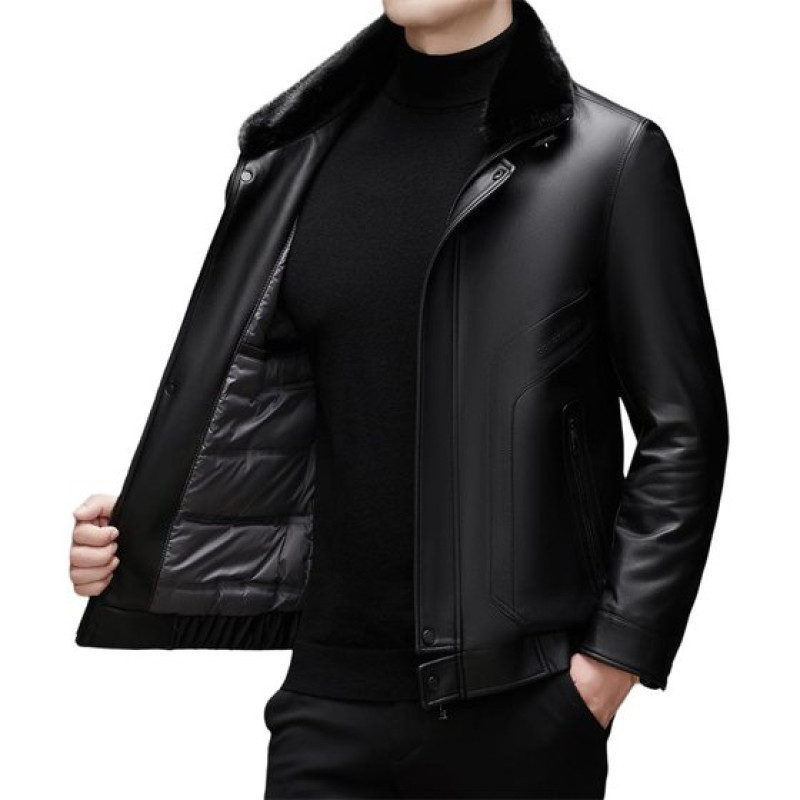 PIERRE CARDIN