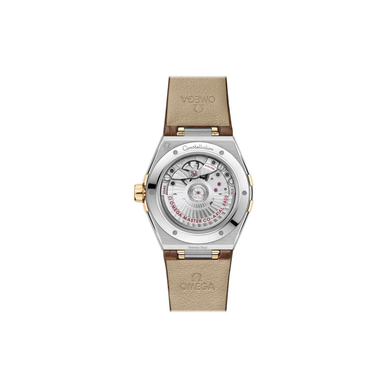 OMEGA 50 39mm 131.23.39.20.58.001