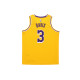 Nike NBA SW 20 3