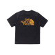 THE NORTH FACE LogoT
