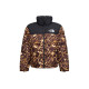 THE NORTH FACE Logo