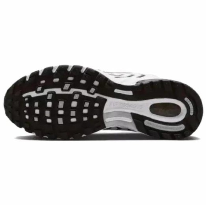Nike Air Pegasus 2005
