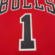 adidas x NBA ROSE 1