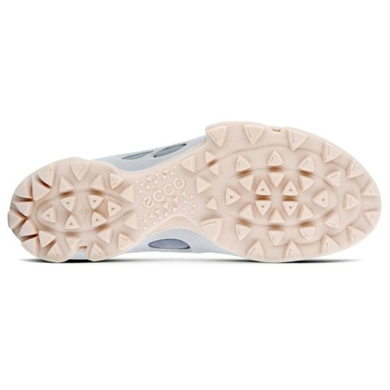 ecco Biom C Trail