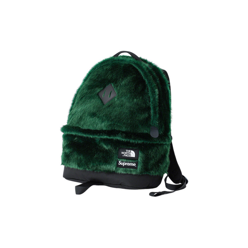 Supreme x The North Face FW20 Week16 Logo