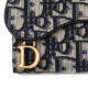DIOR Saddle