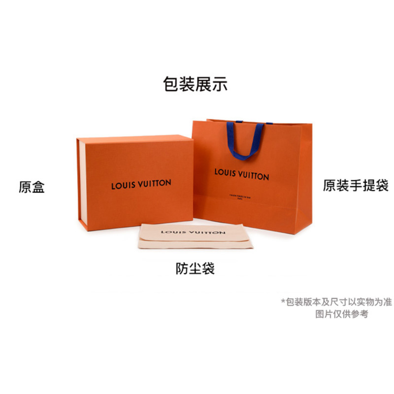 LOUIS VUITTON Logo Monogram Surfin