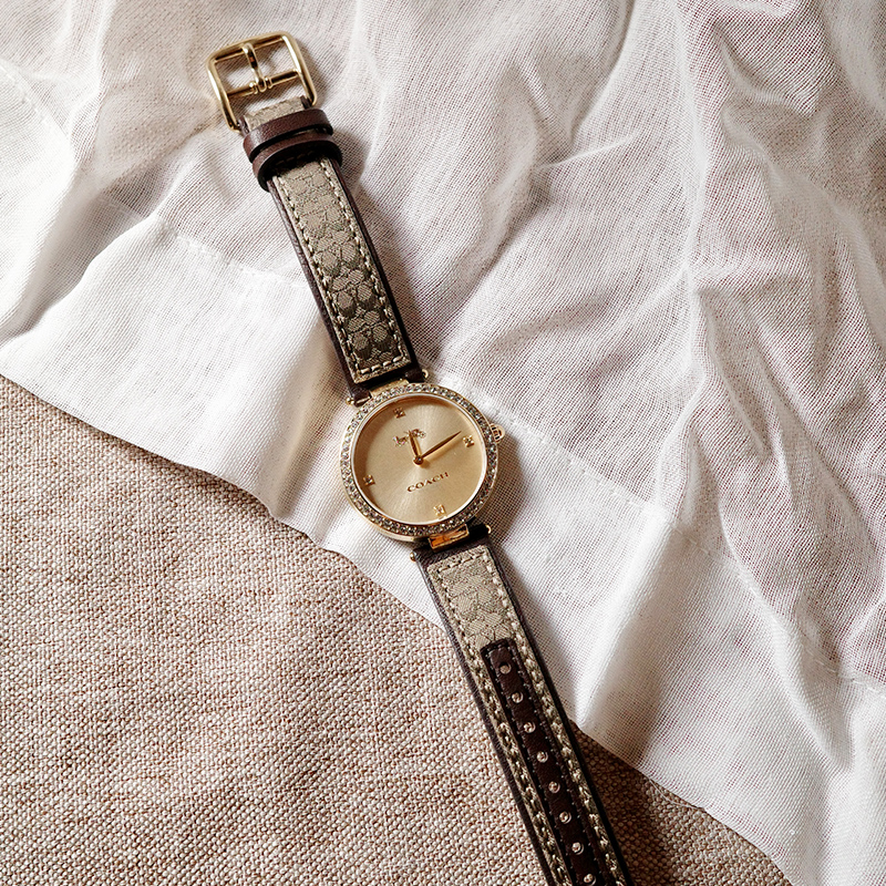 COACH Park 34mm C 14503456