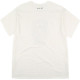 MLB T