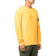 STONE ISLAND FW22 Logo