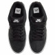 Nike Dunk SB pro iso 