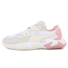 PUMA Storm origin
