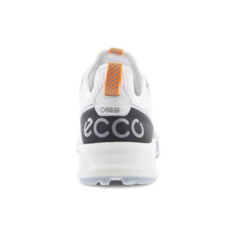 ecco Biom C4