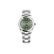 ROLEX 31mm m278240-0011