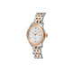TISSOT 30 29mm T006.207.22.036.00