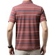 PIERRE CARDIN Polo