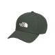 THE NORTH FACE Logo 4VSV