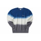 Champion Reverse Weave logo