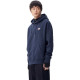 Dickies Logo