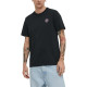 Converse T