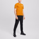 THE NORTH FACE logoT