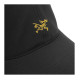 Arcteryx Logo
