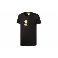 Puma T