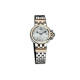 TUDOR 100 26mm 35101-65710