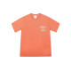 MLB T