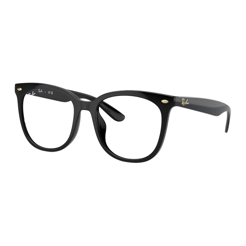 RayBan Logo