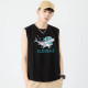 FAIRWHALE
